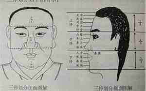 面相与命运王蒙结婚了吗
