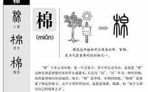 棉字取名是吉还是凶