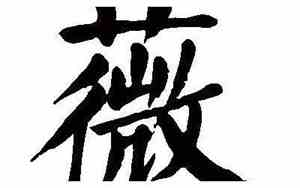 薇字取名寓意及含义
