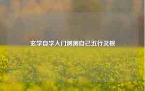 测前世身份(免费)