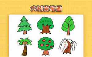 大树的25种用途图片