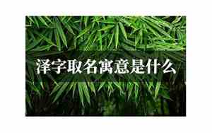 泽字取名寓意是什么男孩