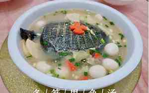 甲鱼汤制作方法步骤甲鱼炖汤和烧哪个好