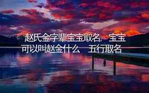 金字辈取名字女孩