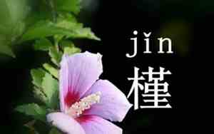 槿字取名含义男孩
