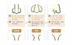鼻子下垂的女生面相好吗
