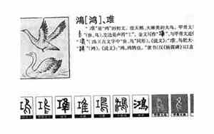 鸿字五行属什么和意义取名