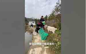 狼狗取名字大全霸气