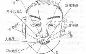 嘴巴上颚鼓起来