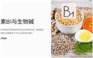 维生素b1的六大功效及缺点