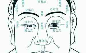 面相起源与理论有关的书籍