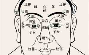 低素质人的面相