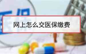 医保缴费怎么网上缴费帮家人