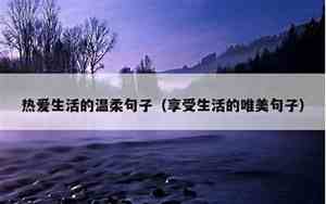 生活语言的句子简短