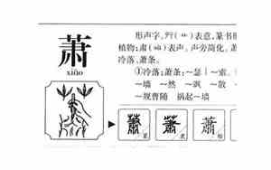 萧字取名寓意