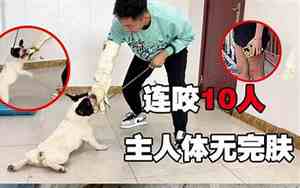 法斗取名字母怎么取