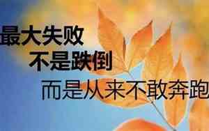 一个坚持下去的古文句子有哪些