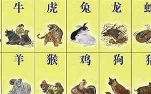 2019年属什么生肖什么命