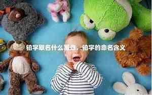 铂字取名的寓意是什么