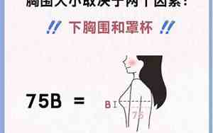 75b是多大的尺码