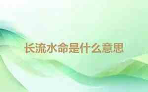 海中金命是什么意思