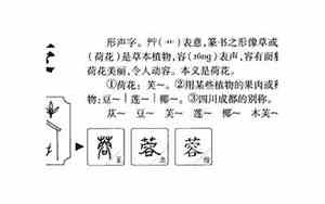 蓉字取名的寓意女孩