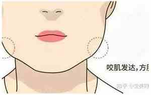 咬肌肥大是什么脸型