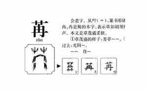 苒字取名寓意是什么女孩