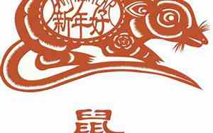 侧面像老鼠的面相女图片