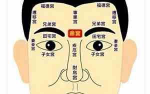 面相预测明星夫妻缘分