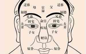 偏财运好的面相