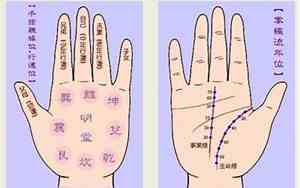 算命需要看面相吗