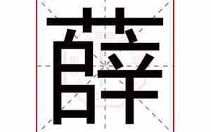 薛字取名女孩