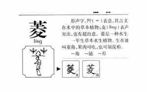 菱字取名的寓意