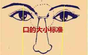 口吞拳头什么意思