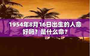 1954年是什么命金木水火土