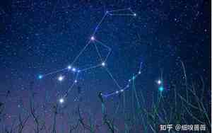十二星座猎户座是什么星座