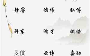 灿起名字