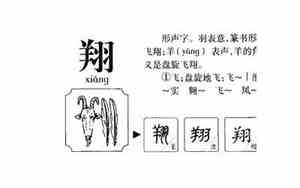 翔字取名的寓意