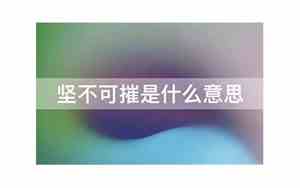 植物大战僵尸坚不可摧什么意思