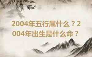 2004年是什么命五行属什么命