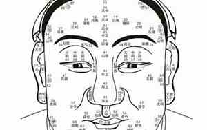 30岁开始走面相哪个部位
