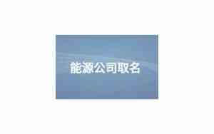 能源公司取名三个字