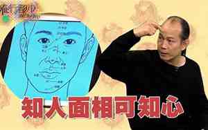 现代都市人生面相小说