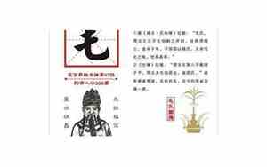 姓毛的名人和历史人物