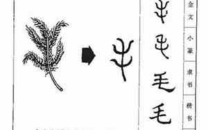 毛字取名女孩