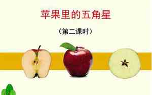 苹果里的五角星阅读理解答案