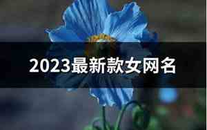 网名,女