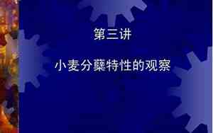 平稳分蘖读音