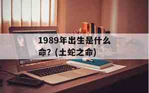 1988年1月27日农历是什么命